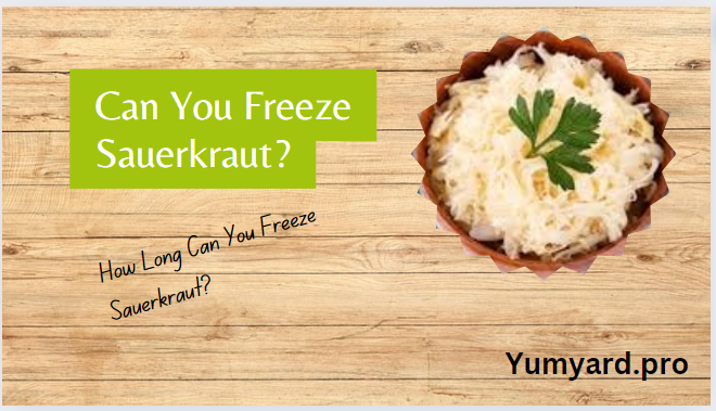 Can You Freeze Sauerkraut